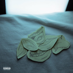 Tell Me If You Believe [Flaccid Force Interlude]