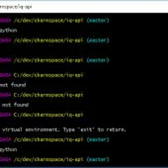 The Git Bash (Demo Day Beta Testing)