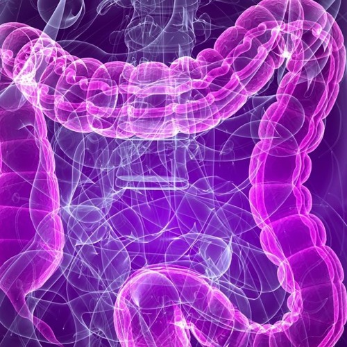Powerful Stomach & Intestine Treatment Sound Therapy Digestion