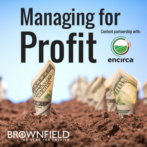 Yield Explorer Stream episode Analyzing Field Data by Brownfield Ag News podcast ...