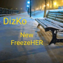 Dizko - New freezer
