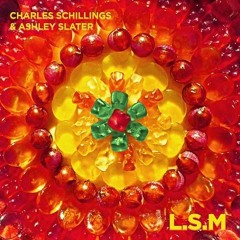 Charles Schillings & Ashley Slater - Love Sex and Music (Maxamillion Remix)