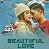 Beautiful Love - Naa Peru Surya Naa Illu India