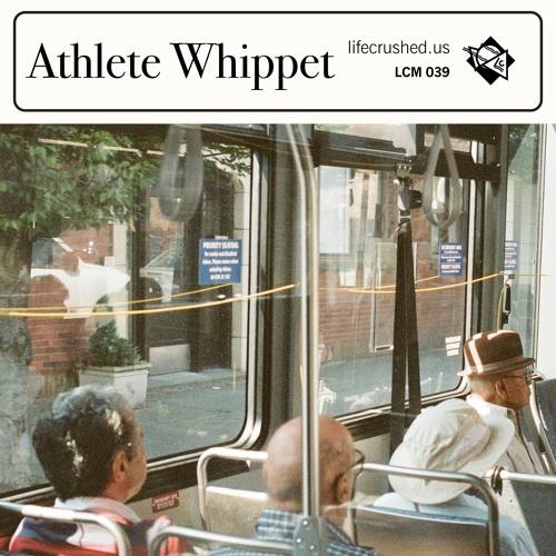 LCM039 - Athlete Whippet