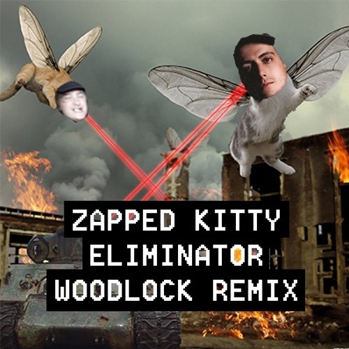 Zapped Kitty Eliminator(Woodlock Remix)(FREE DOWNLOAD)