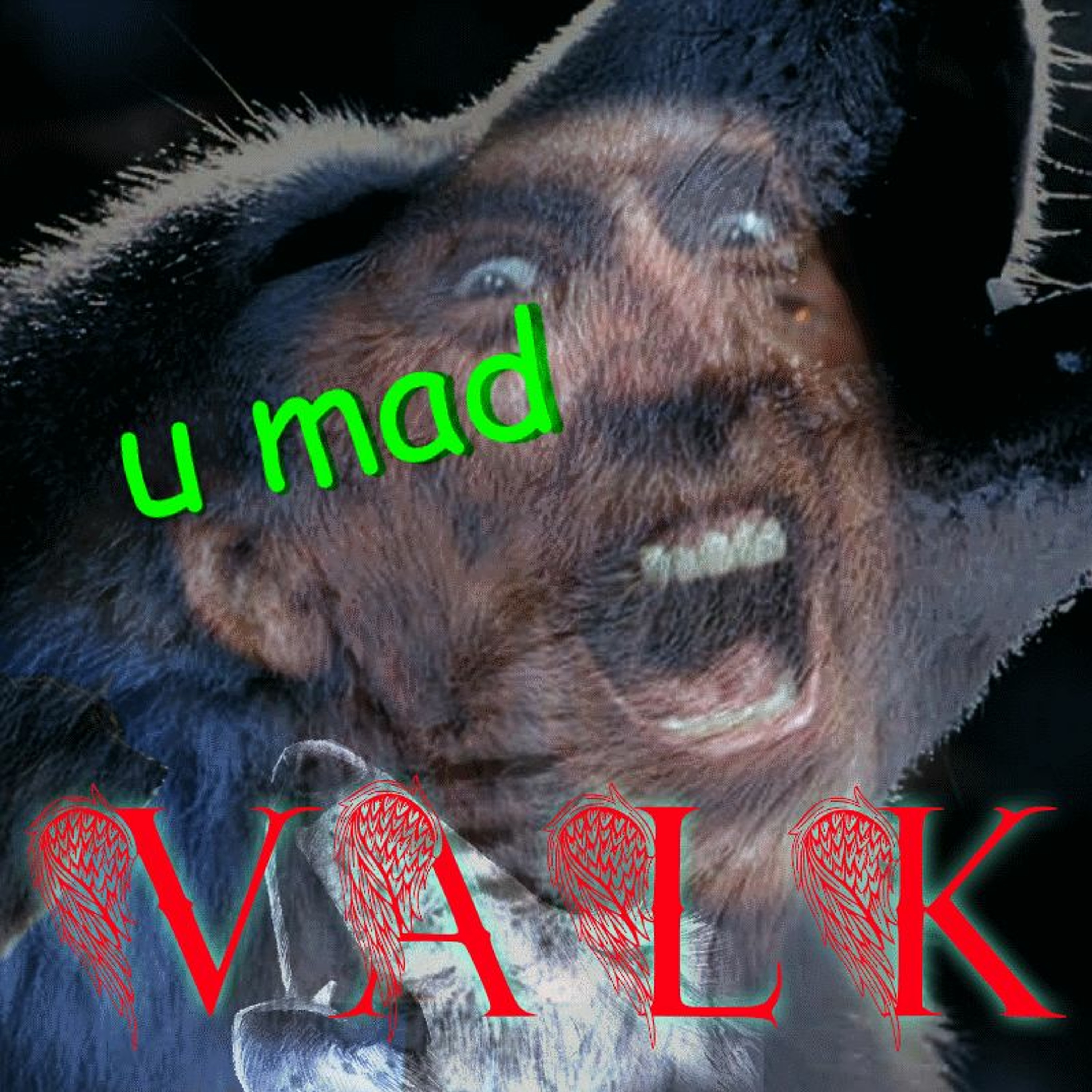 U Mad? episode artwork