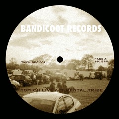Tomich - Live tekno tribe # 2
