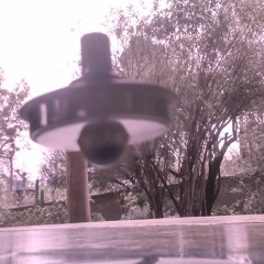 Chuspalibrecpuorqhesta - zigzag Mix