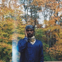 into the woods x raury