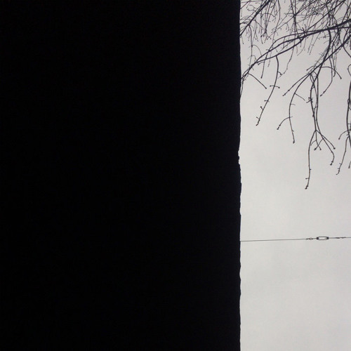 Случайность