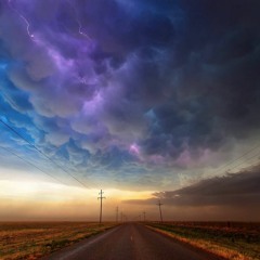 tell it to the wind