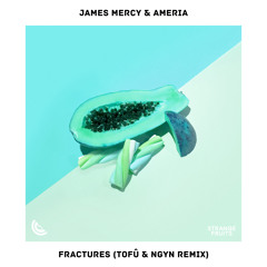 James Mercy & Ameria – Fractures (tofû & Ngyn Remix)