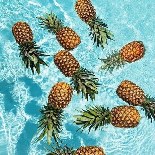 Summer Vibes Summer Vibes