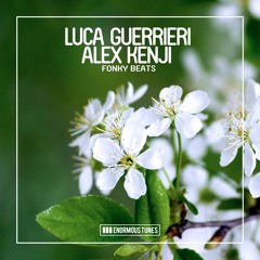 Luca Guerrieri & Alex Kenji - Fonky Beats