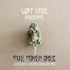 13) Lofi Hokage - finally going home