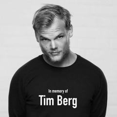 Tim Berg - Bromance (Thomas Coastline Tribute Mix)preview
