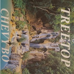 2 Hai [Prod. Kid Ocean] - Chevy Bo