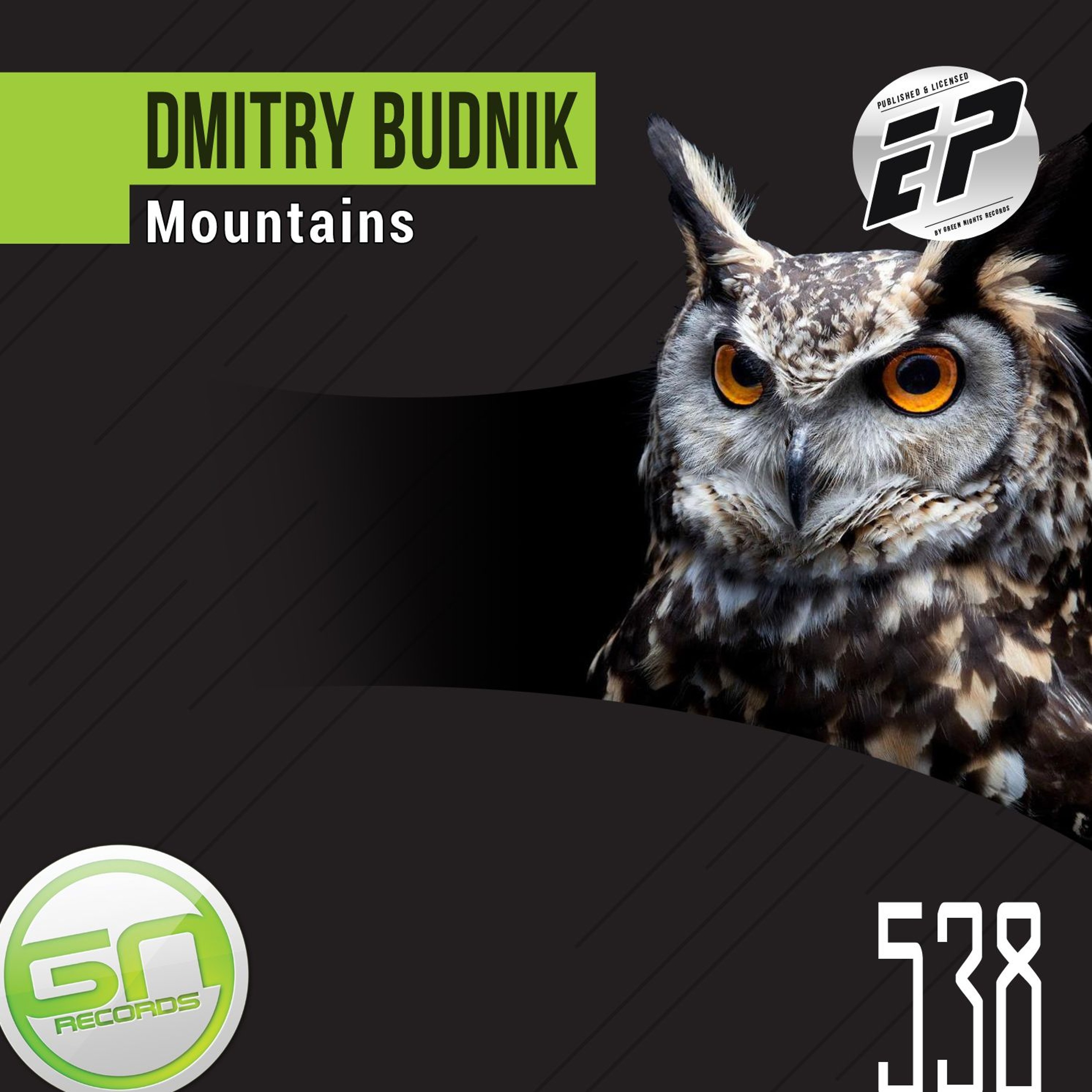 GNR538 - Dmitry Budnik - Mountains (Original Mix) episode artwork