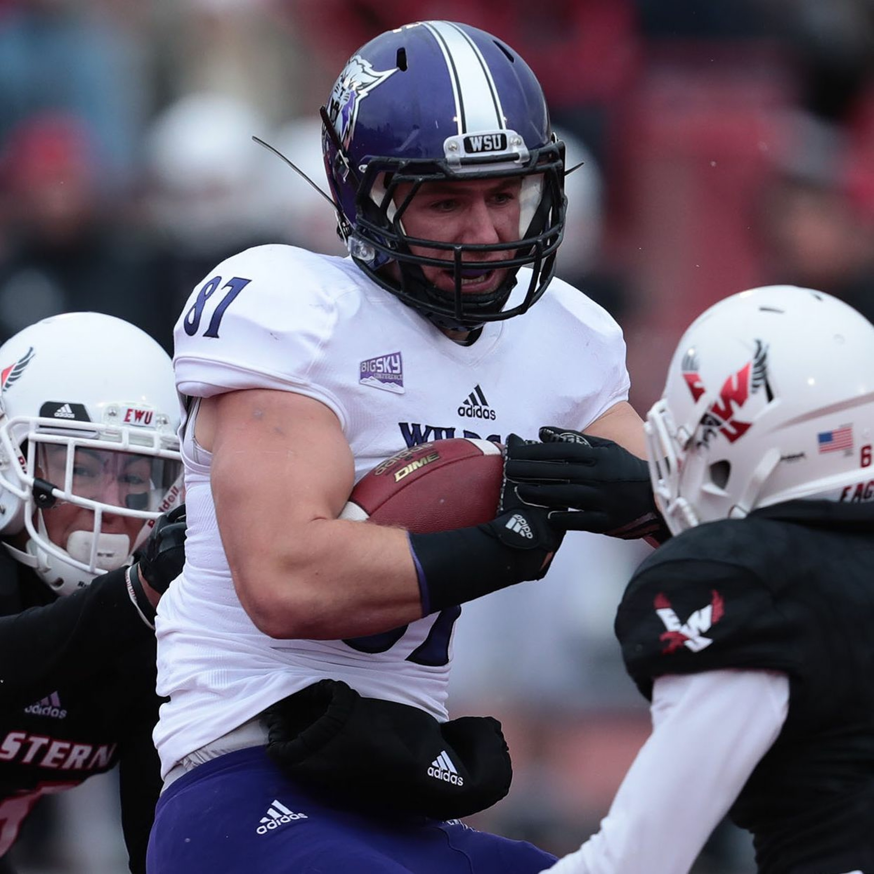 \'Cat Tales - Weber State Athletics