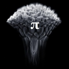 Harlotte And Her Damn Web Of Lies (Instrumental Prod. By Pig Pi )