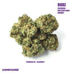 Budz ft. Westside Gunn & Conway (Produced by Alchemist)