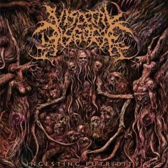 09 Skull Fucking Neonatal Necrosis