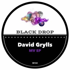 David Grylls - MV (preview)