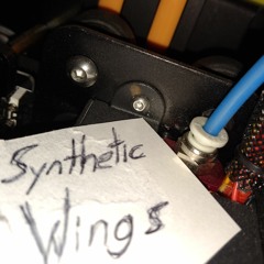 Synthetic Wings