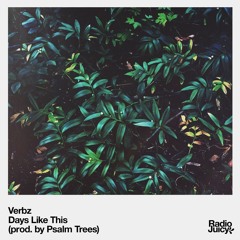 Verbz & Psalm Trees - Days Like This