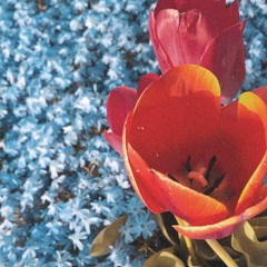 summertime (feat. tristtan)