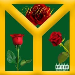 WHY FT. ROZZ GOLD (PROD. YOUNG TAYLOR)