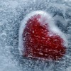 Cold Hearted Cold Hearted