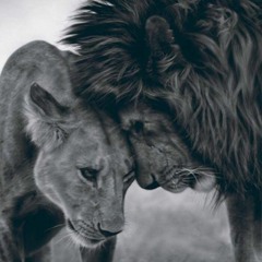 Karim Moka - Ahzan | كريمـ موكا - أحزاان (Ringtone)