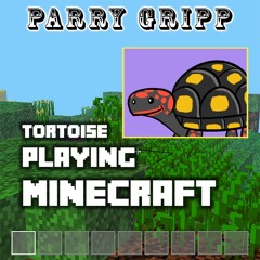 Tortoise Playing Minecraft