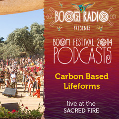 Carbon Based Lifeforms - Live at the Sacred Fire - Boom Festival 2014