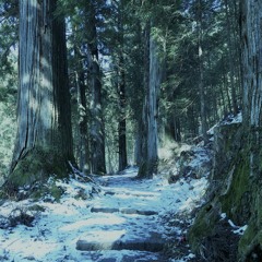 Behind The Mask (Yellow Magic Orchestra cover)