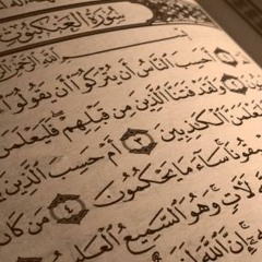 سورة العنكبوت - قراءة حدر - الشيخ ياسر سلامة