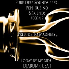 PureDeepSounds Pres.  Pepe Rubino & DJARUM -„Prelude To Madness"