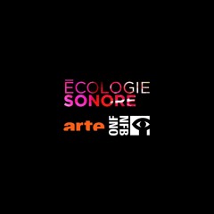 Ecologie Sonore ARTE/ONF – Sons Patrimoniaux : Palais des Papes
