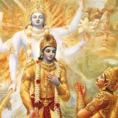 The Bhagavad Gita 7-Bhawat gyan (Hindi).MP3