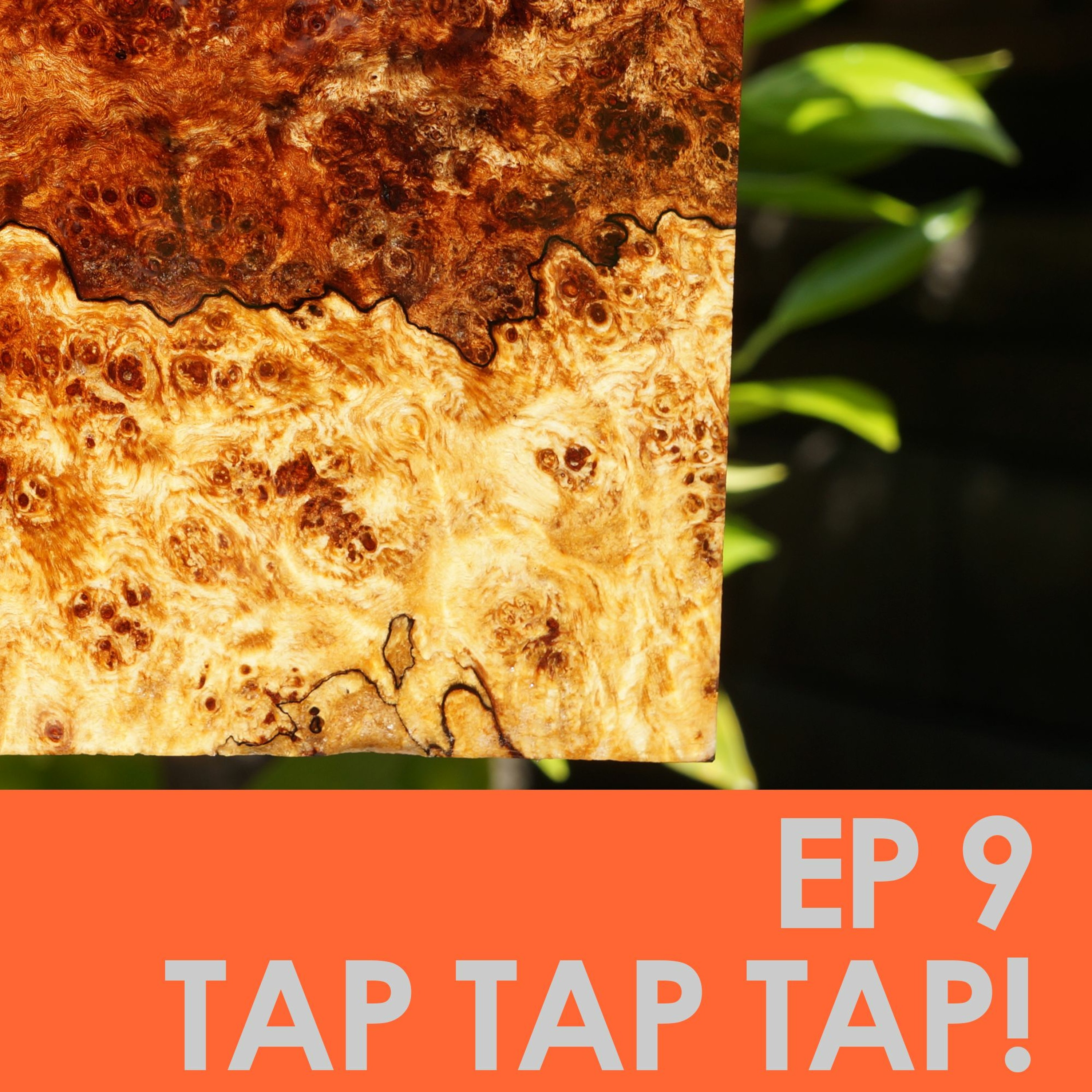 Episode 9: Tap Tap Tap! episode artwork