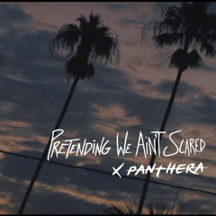Pretending We Ain't Scared (Coconut) x Panthera