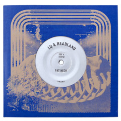 LQ & Headland "Fat Neck" b/w Headland "Mineral Run" ZamZam 62 vinyl rip blend