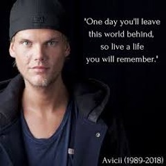dj provok avicii tribute