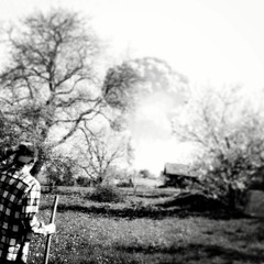 EXPLOSIONS IN THE SKY