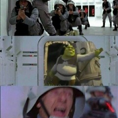 Memes trip on 4chan and know your meme