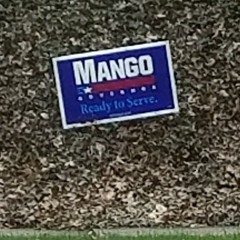 Just making up a song as I go along