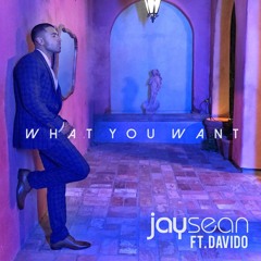 JAY SEAN - What You Want [Kougan UK Garage Remix]