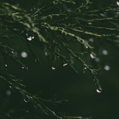 Despite The Rain (Original Song)