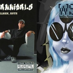 Animal Cannibals vs Wsahl - A Boom nem minden (Roothouse Mashup) [2016]